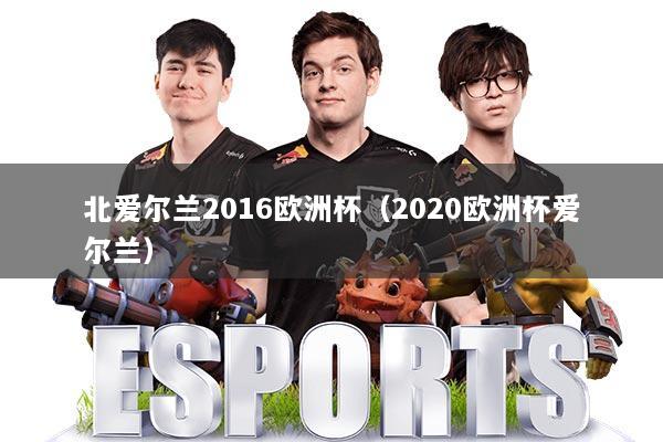 北爱尔兰2016欧洲杯（2020欧洲杯爱尔兰）