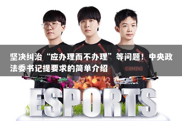 坚决纠治“应办理而不办理”等问题!中央政法委书记提要求的简单介绍