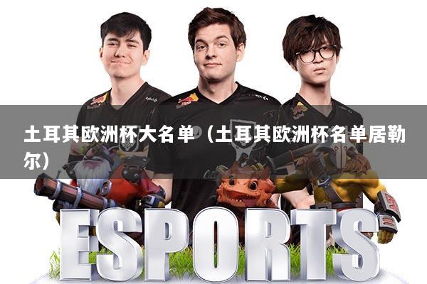 土耳其欧洲杯大名单(土耳其欧洲杯名单居勒尔)