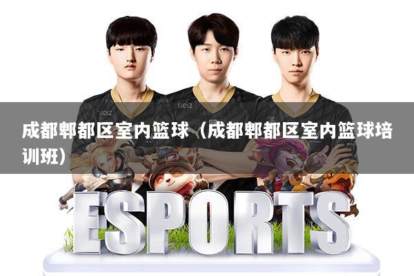 成都郫都区室内篮球（成都郫都区室内篮球培训班）