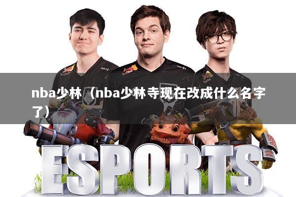 nba少林（nba少林寺现在改成什么名字了）