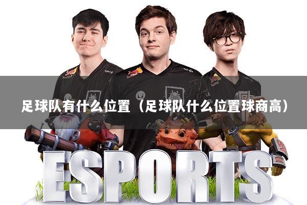 足球队有什么位置（足球队什么位置球商高）