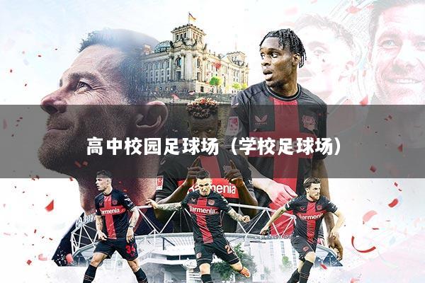 高中校园足球场（学校足球场）
