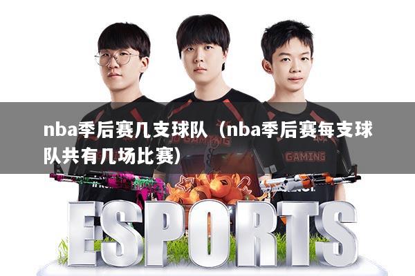 nba季后赛几支球队（nba季后赛每支球队共有几场比赛）
