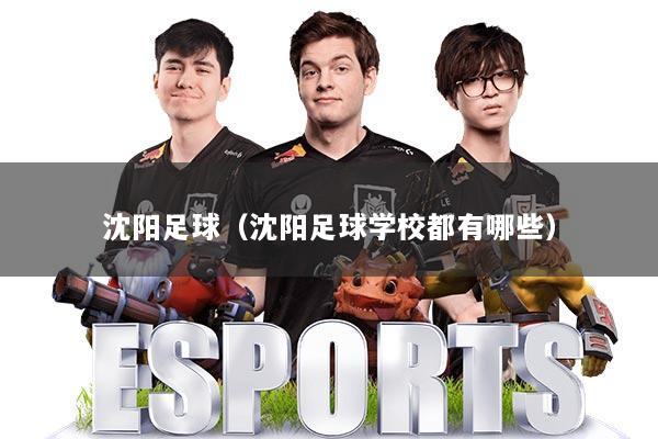 详细阅读:沈阳足球(沈阳足球学校都有哪些) 沈阳足球(沈阳足球学校都有哪些)