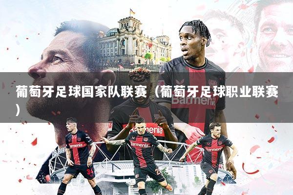 葡萄牙足球国家队联赛(葡萄牙足球职业联赛)
