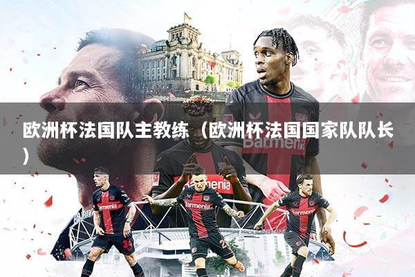 欧洲杯法国队主教练(欧洲杯法国国家队队长)