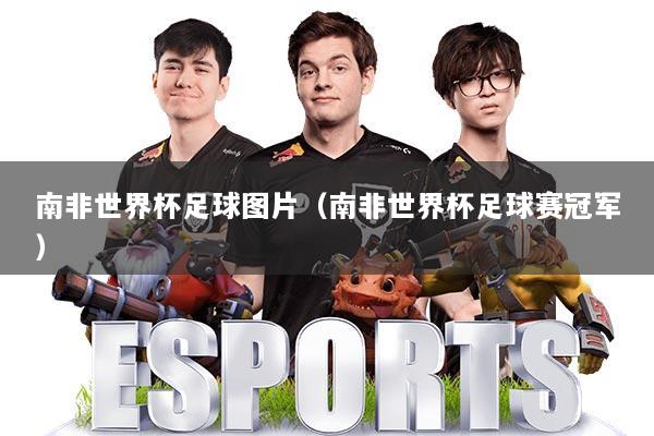 南非世界杯足球图片（南非世界杯足球赛冠军）