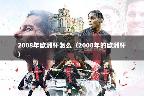 2008年欧洲杯怎么（2008年的欧洲杯）