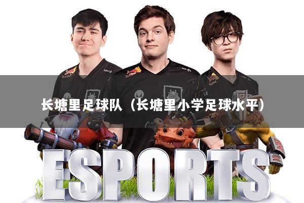 长塘里足球队（长塘里小学足球水平）