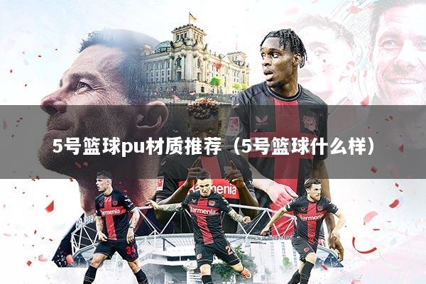 5号篮球pu材质推荐（5号篮球什么样）