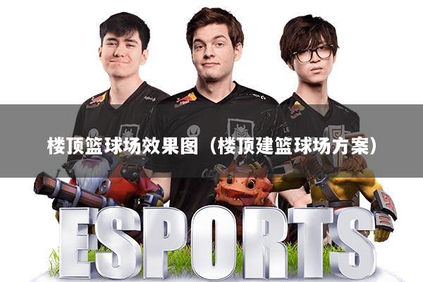 楼顶篮球场效果图（楼顶建篮球场方案）